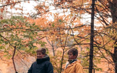 L’automne est là : et si vous prépariez déjà votre classe de découvertes d’octobre 2027 ?